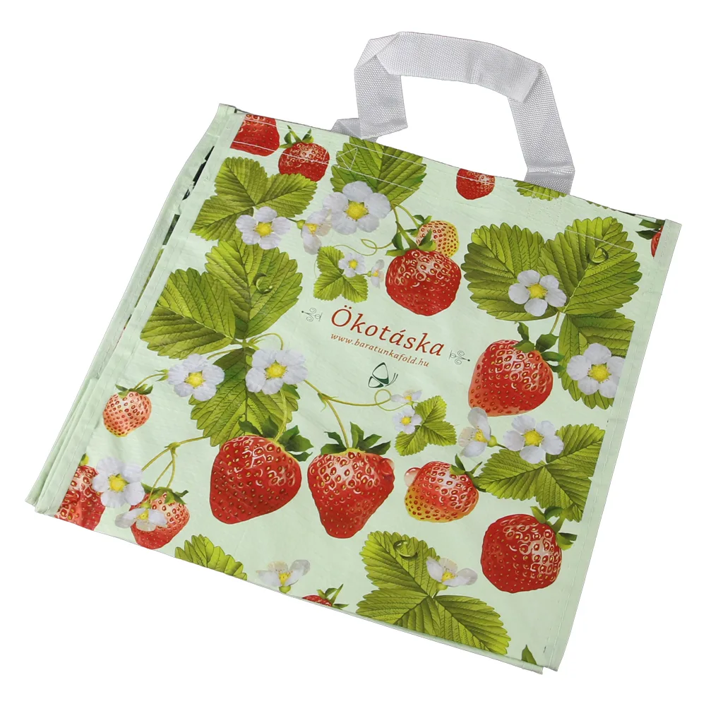 Sacosa eco opp reciclat 30 x 18 x 30 cm 8-10 kg