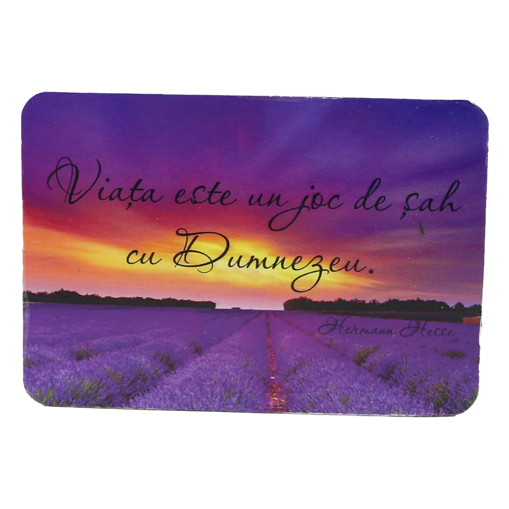 Magnet de frigider din plastic "Viata este un joc de sah cu Dumnezeu" 8 x 5.5 cm Magnet de frigider din plastic "Viata este un joc de sah cu Dumnezeu" 8 x 5.5 cm