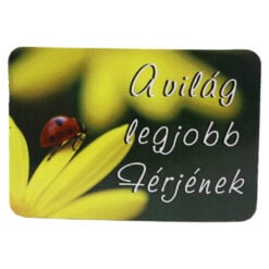 Magnet de frigider din plastic "A vilag legjobb Ferjenek" 8 x 5.5 cm