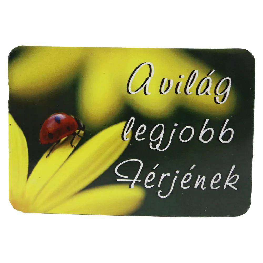 Magnet de frigider din plastic "A vilag legjobb Ferjenek" 8 x 5.5 cm