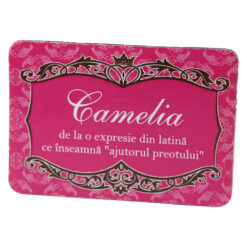 Magnet de frigider din plastic cu nume de femei si barbati 8 x 5.5 cm
