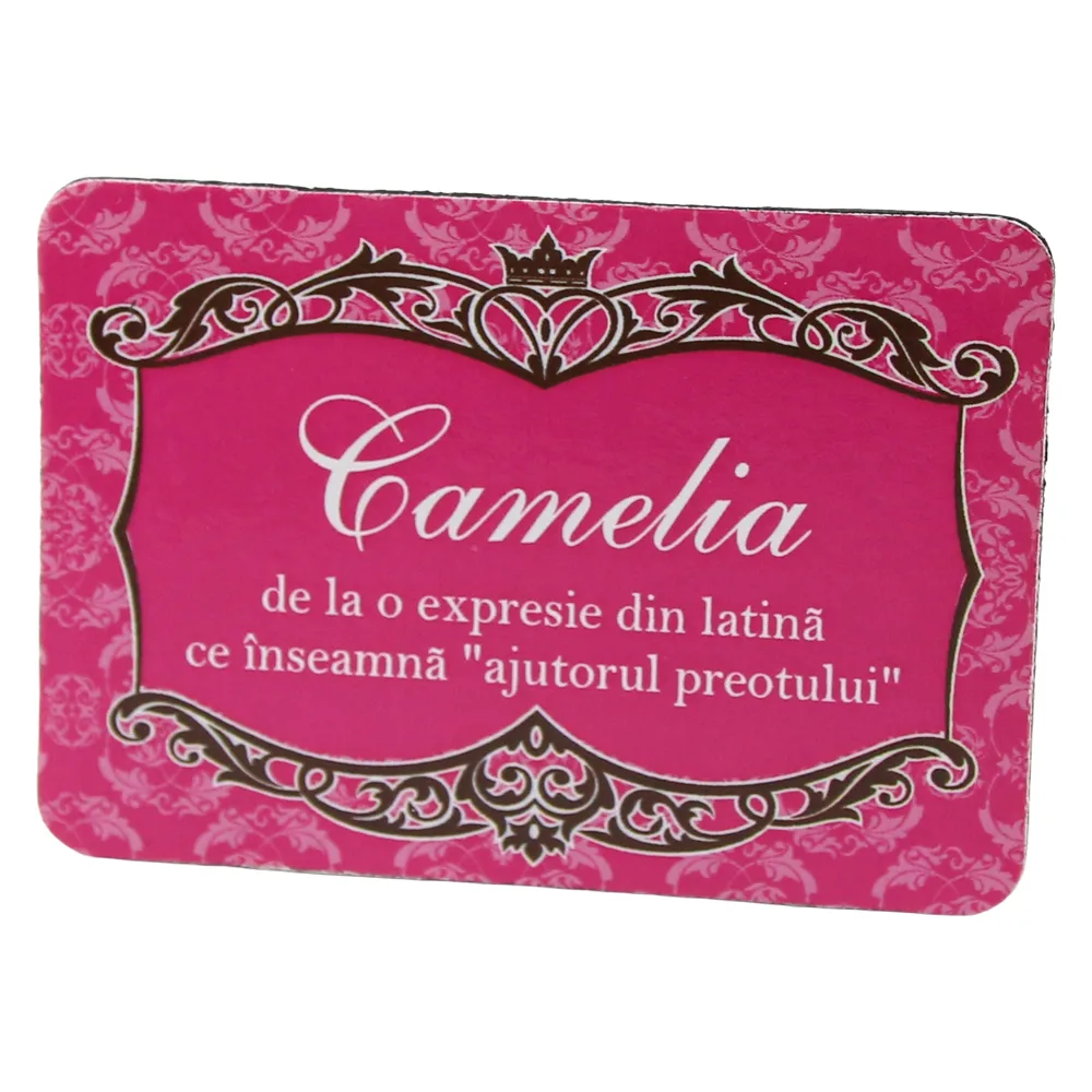 Magnet de frigider din plastic cu nume de femei si barbati 8 x 5.5 cm Magnet de frigider din plastic cu nume de femei si barbati 8 x 5.5 cm