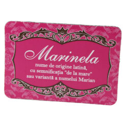 Magnet de frigider din plastic cu nume de femei si barbati 8 x 5.5 cm