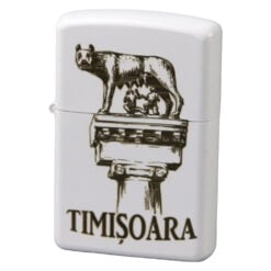 Bricheta metalica gravata "Timisoara" 3.8 x 5.5 cm