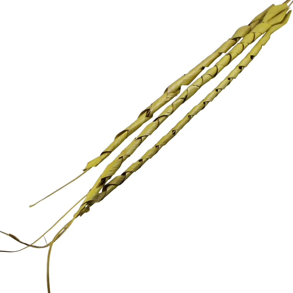 Frunze tropicale spiralate