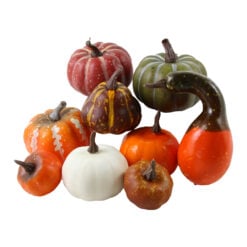 Set 9 dovlecei decorativi din polifoam 4 - 7 cm