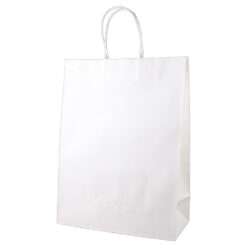 Punga cadou din hartie 26 x 35 cm