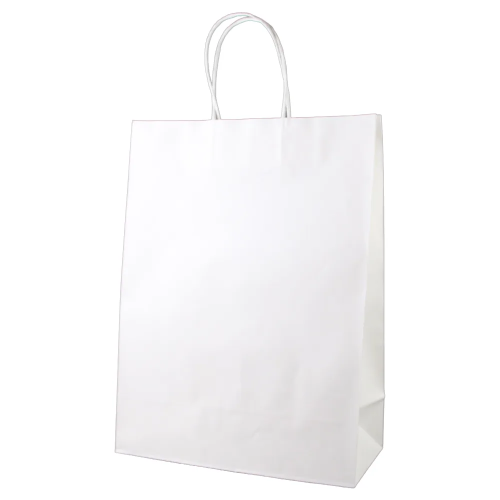 Punga cadou din hartie 26 x 35 cm