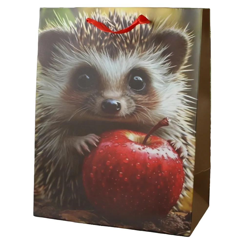 Punga cadou din hartie 18 x 23 cm