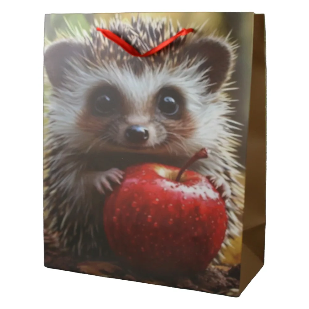 Punga cadou din hartie 26 x 32 cm