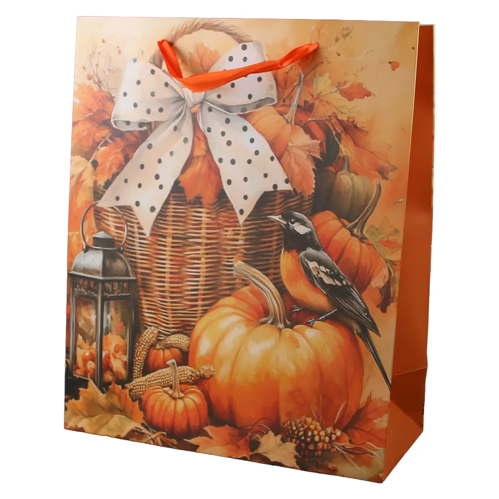 Punga cadou din hartie 26 x 32 cm
