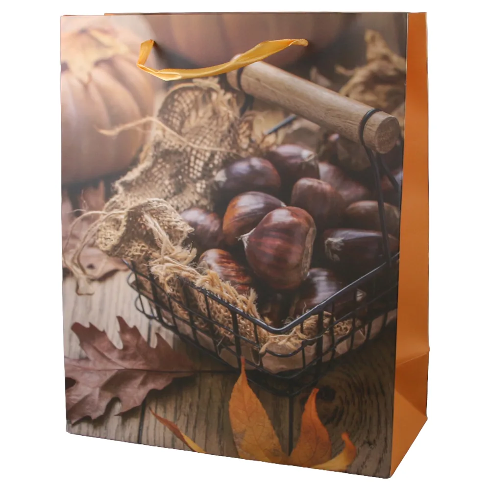 Punga cadou din hartie 26 x 32 cm