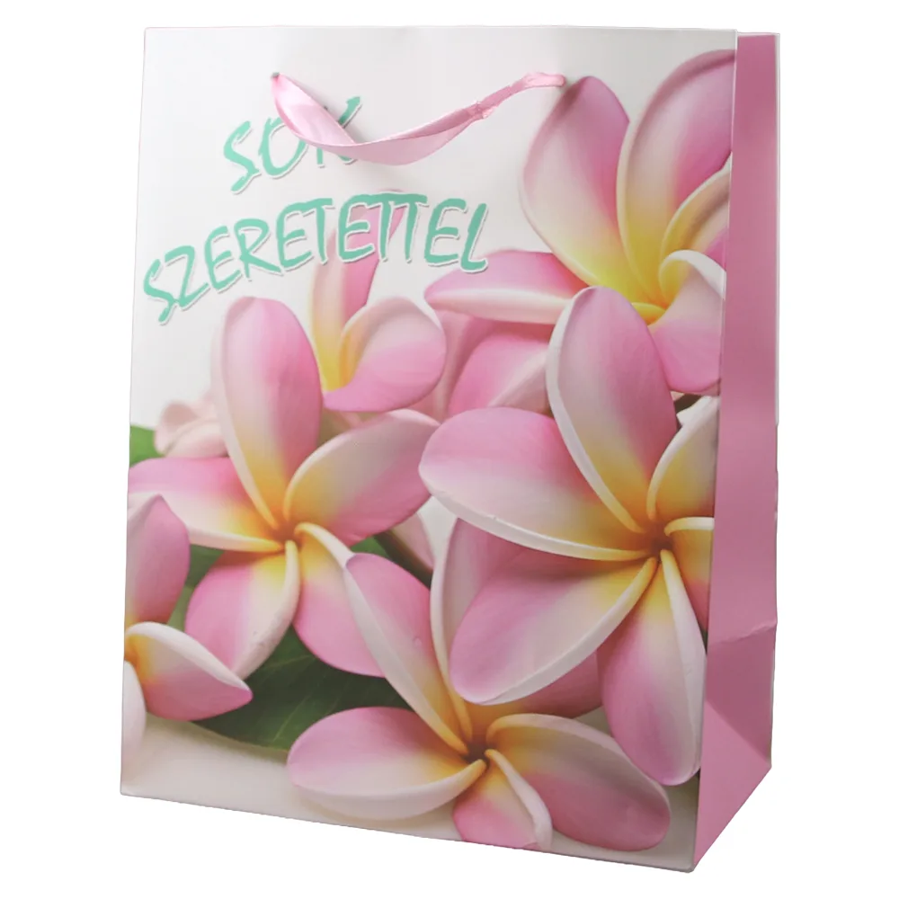 Punga cadou din hartie "Sok szeretettel" 18 x 23 cm Punga cadou din hartie "Sok szeretettel" 18 x 23 cm