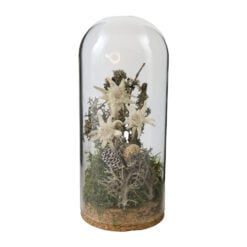 Decoratiune cu floare-de-colt sub cupola de sticla 8 x 18 cm