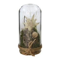 Decoratiune cu floare-de-colt sub cupola de sticla 5 x 10 cm
