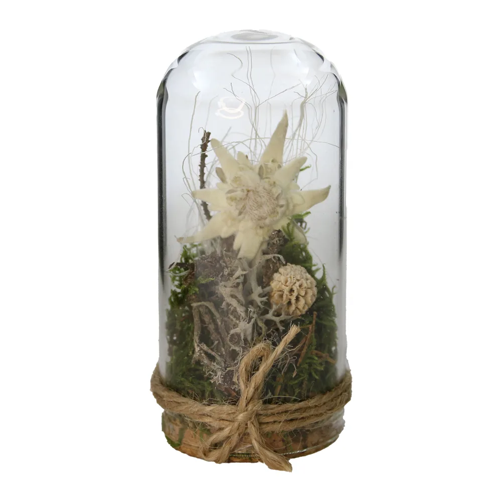 Decoratiune cu floare-de-colt sub cupola de sticla 5 x 10 cm