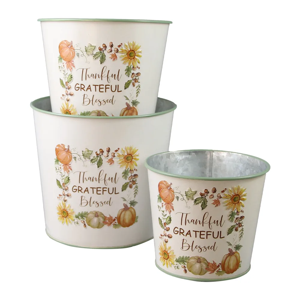 Set 3 ghivece decorative din metal "Thankful
