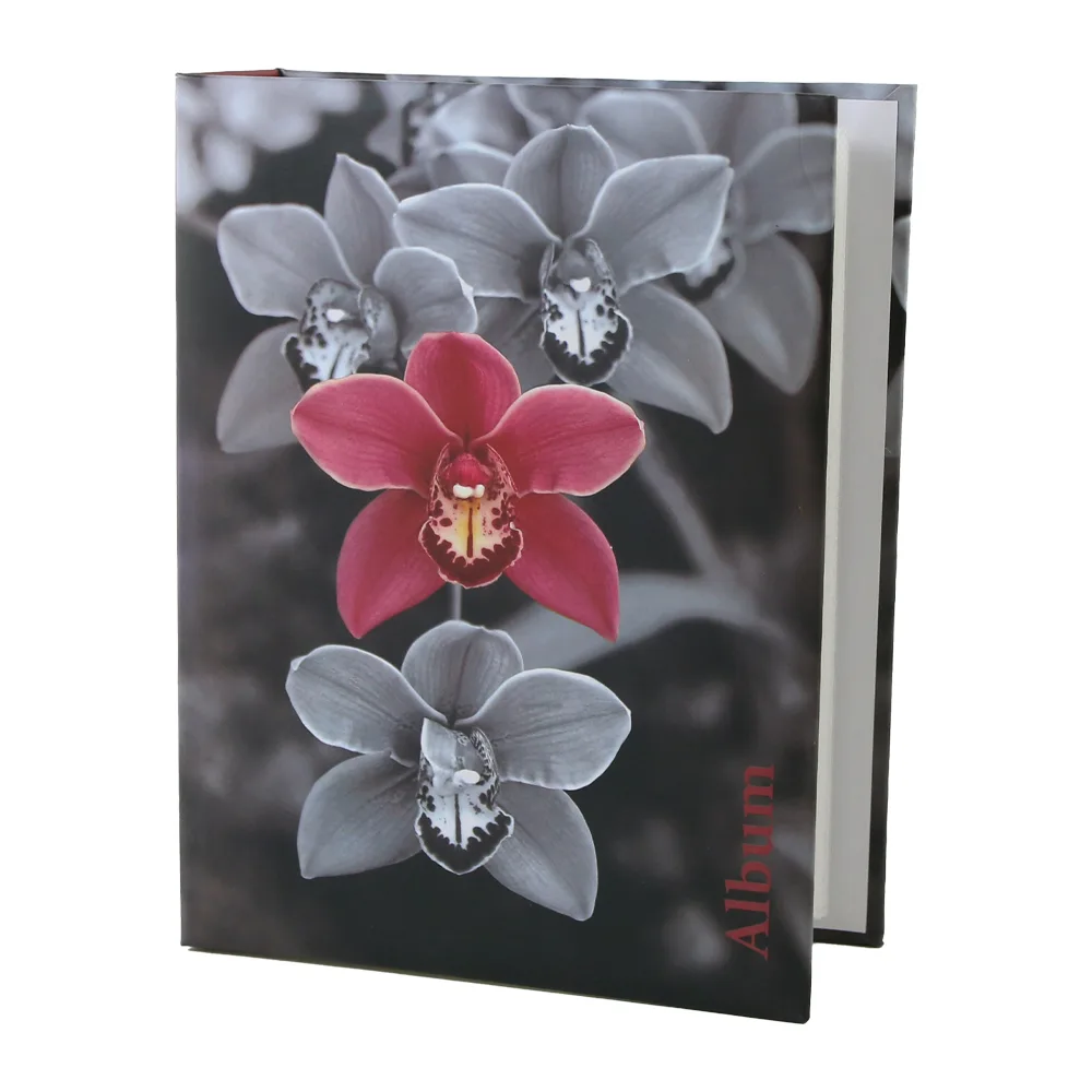 Album foto pentru 100 fotografii 13 x 18 cm