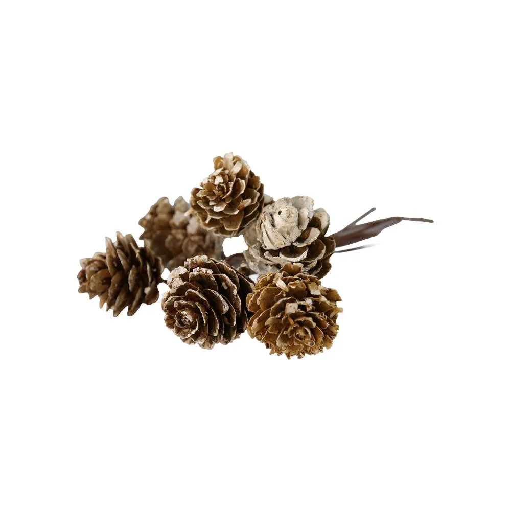 Pick decorativ cu 6 conuri de brad inzapezite 12 cm Pick decorativ cu 6 conuri de brad inzapezite 12 cm