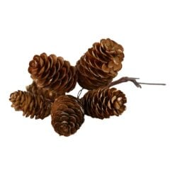 Pick decorativ cu 6 conuri de brad 13 cm