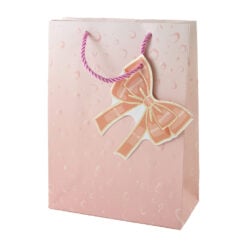 Punga cadou din hartie 18 x 24 cm
