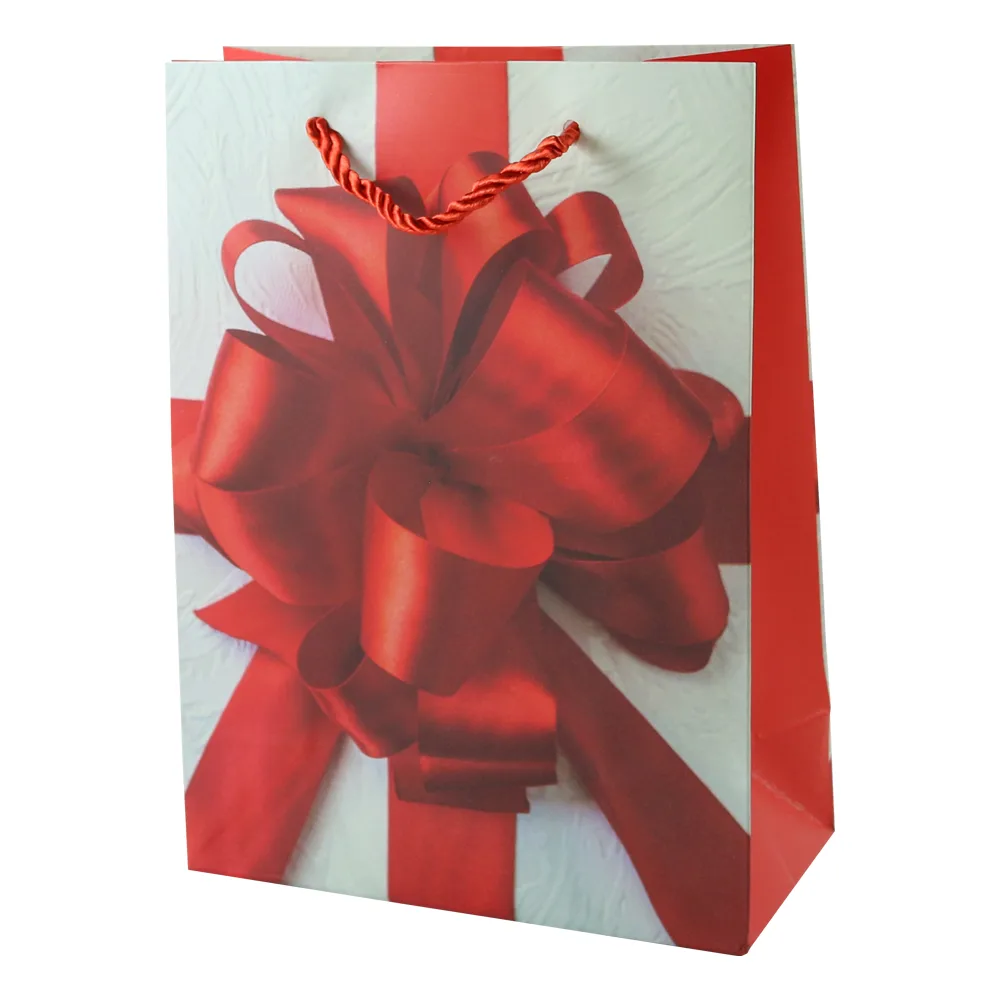 Punga cadou din hartie 18 x 24 cm
