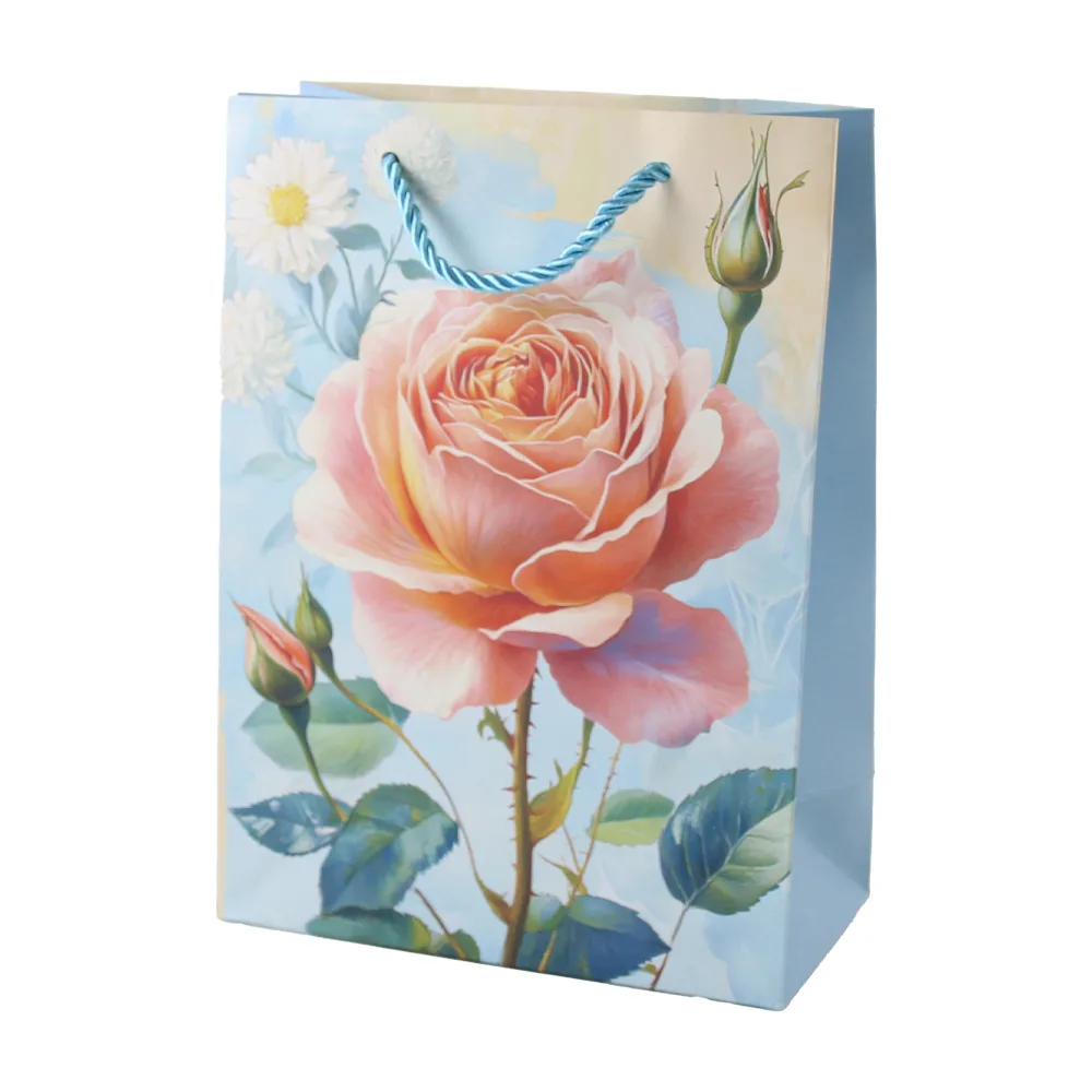 Punga cadou din hartie 18 x 24 cm Punga cadou din hartie 18 x 24 cm
