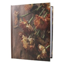 Album foto pentru 200 fotografii 10 x 15 cm