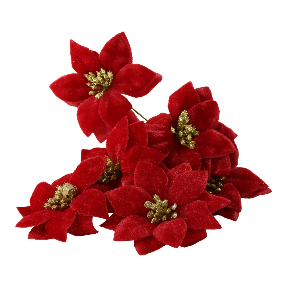 Set 6 pick-uri Craciunita rosie 10 x 16 cm Set 6 pick-uri Craciunita rosie 10 x 16 cm