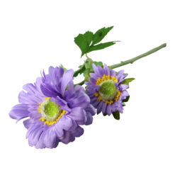 Floare artificiala Zinnia 60 cm