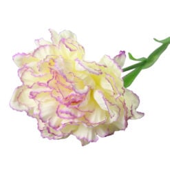 Floare artificiala Garoafa 53 cm