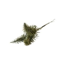 Pick decorativ creanga de brad verde-auriu 26 cm