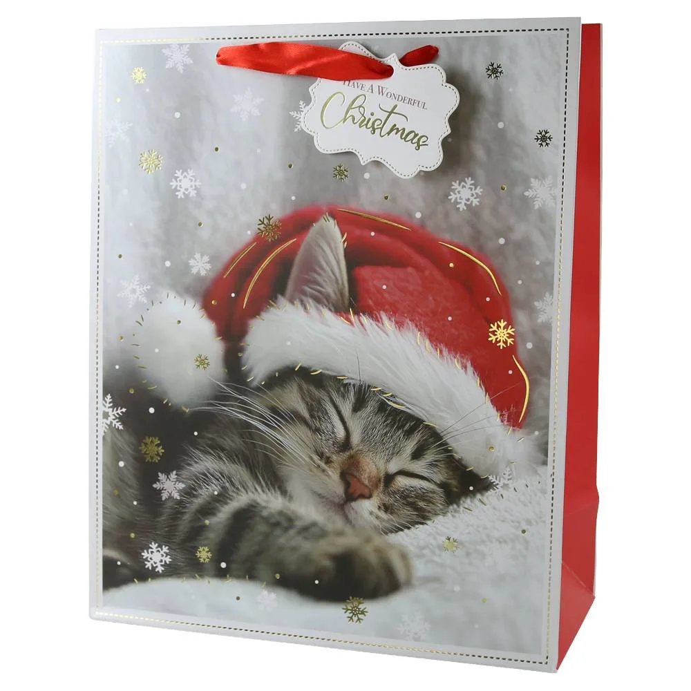 Punga cadou de Craciun cu eticheta "Have a wonderful Christmas" 26x32 cm