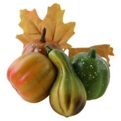 Set 4 dovlecei decorativi cu frunze 6/7 cm
